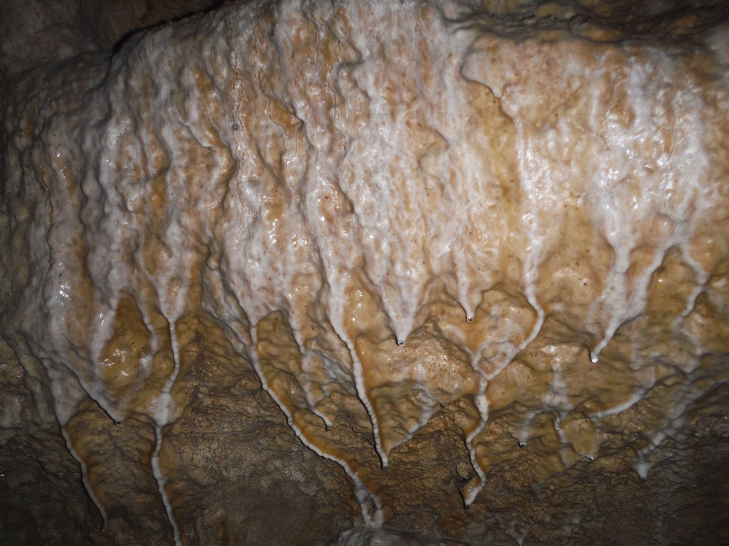 Coladas parietales en la Cueva de La Arruzafa I