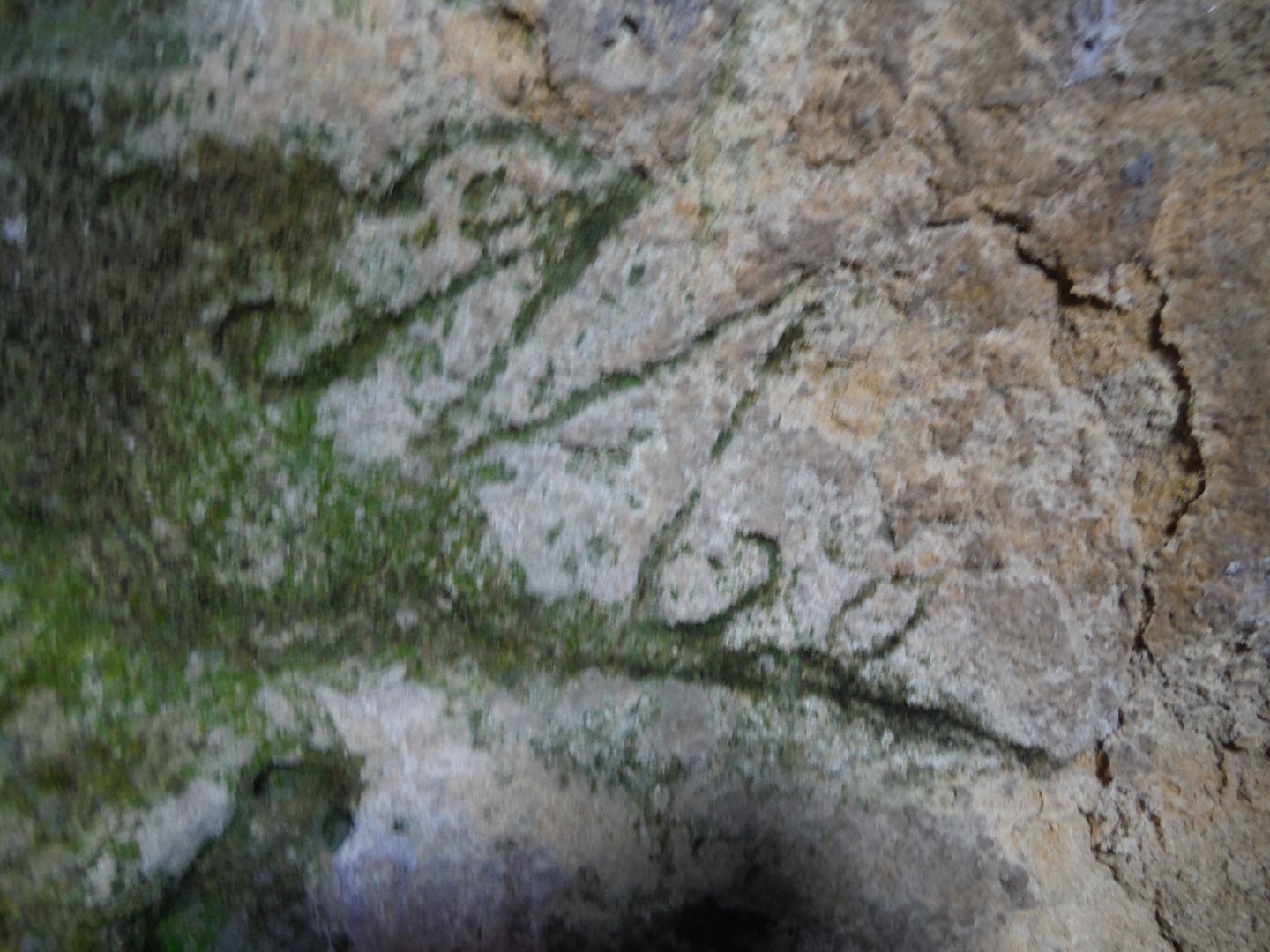 Inscripción encobtrada en las paredes de una cavidad